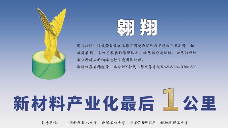 食品级化工产品的标准主要包括以下几个方面：